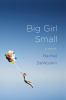 Go to record Big girl small : [a novel]