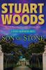 Go to record Son of Stone : a Stone Barrington novel