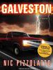 Go to record Galveston a novel