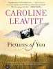 Go to record Pictures of you a novel