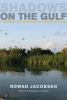 Go to record Shadows on the Gulf : a journey through our last great wet...