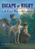 Go to record Escape by night : a Civil War adventure