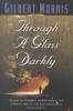 Go to record Through a glass darkly : a novel