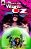 Go to record The wonderful wizard of Oz