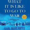 Go to record What it is like to go to war