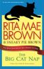 Go to record The big cat nap : the 20th anniversary Mrs. Murphy mystery