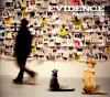 Go to record Cats & dogs