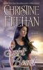 Go to record Spirit bound : a Sea Haven novel