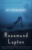 Go to record Afterwards : a novel
