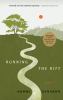 Go to record Running the rift : a novel
