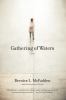 Go to record Gathering of waters : [a novel]