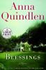 Go to record Blessings : a novel