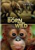 Go to record Born to be wild