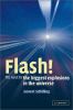 Go to record Flash! : the hunt for the biggest explosions in the universe