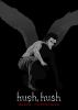 Go to record Hush, hush. Volume 1