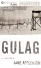 Go to record Gulag a history