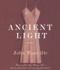 Go to record Ancient light [a novel]