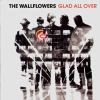 Go to record Glad all over