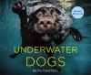 Go to record Underwater dogs