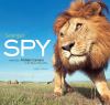 Go to record Serengeti spy : views from a hidden camera on the plains o...