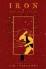 Go to record Iron, or, The war after : a graphic novel