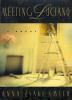 Go to record Meeting Luciano : a novel