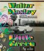 Go to record Little green an Easy Rawlins mystery