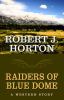 Go to record Raiders of Blue Dome : a Western story