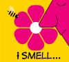 Go to record I smell ..