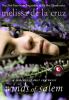 Go to record Winds of Salem : a witches of East End novel