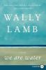 Go to record We are water : a novel