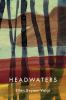 Go to record Headwaters : poems