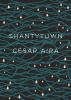Go to record Shantytown