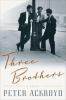 Go to record Three brothers : a novel