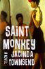 Go to record Saint monkey : a novel