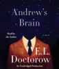Go to record Andrew's brain [a novel]