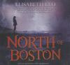 Go to record North of Boston : a novel