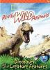Go to record Dinosaurs and other creature features.
