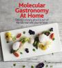Go to record Molecular gastronomy at home : taking culinary physics out...