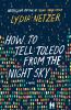 Go to record How to tell Toledo from the night sky :  [a novel]