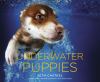 Go to record Underwater puppies