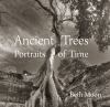 Go to record Ancient trees : portraits of time