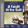 Go to record A raisin in the sun