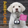 Go to record Petcam : the world through the lens of our four-legged fri...