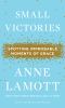 Go to record Small victories : spotting improbable moments of grace