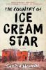 Go to record The country of Ice Cream Star : a novel