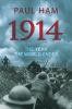 Go to record 1914 : the year the world ended