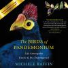 Go to record The birds of Pandemonium : life among the exotic & the end...