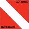 Go to record Diver down