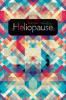 Go to record Heliopause